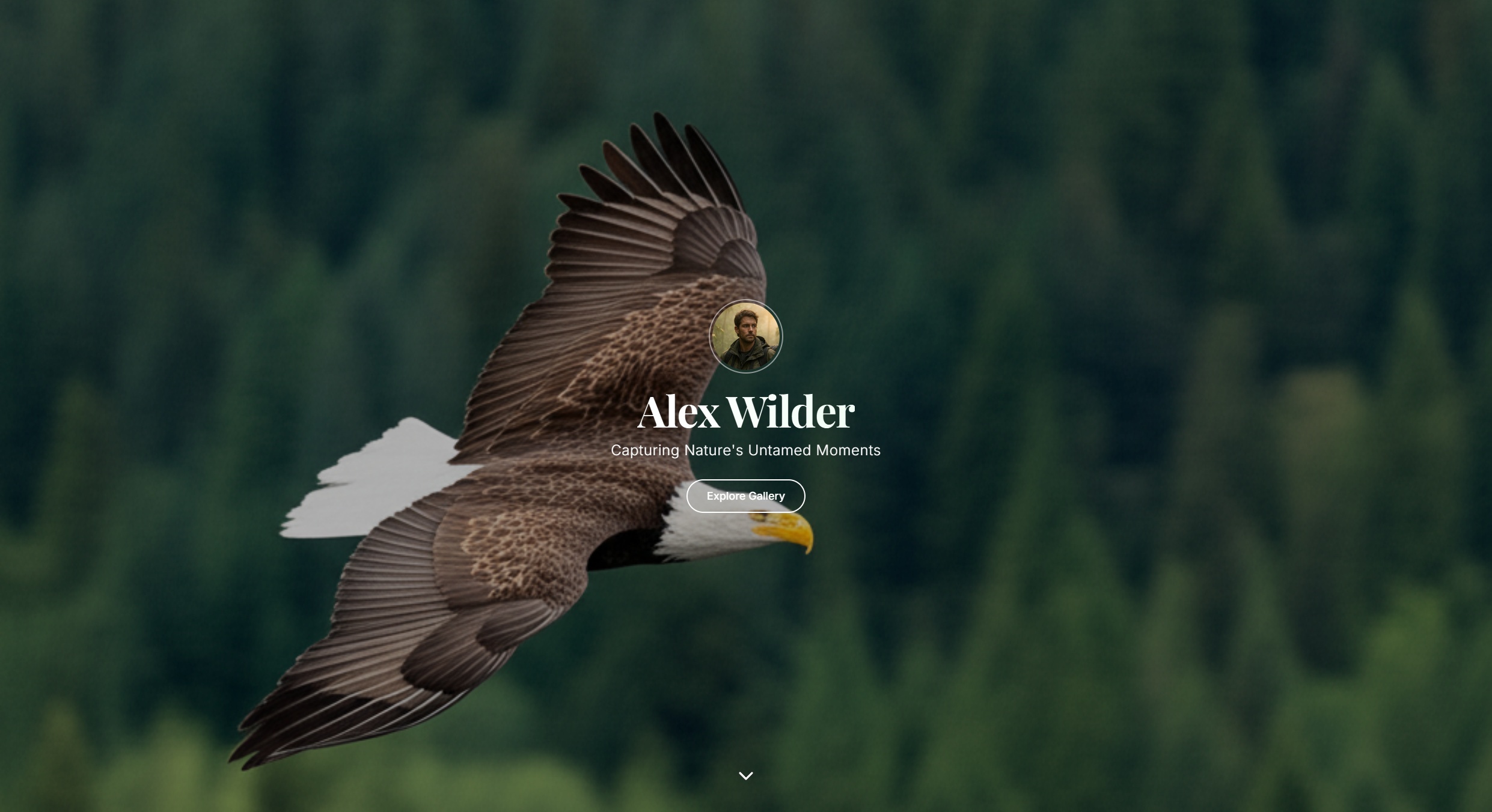 Alex Wilder Photography